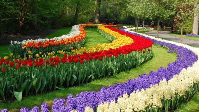 Парад тюльпанов в Никитском Ботаническом саду