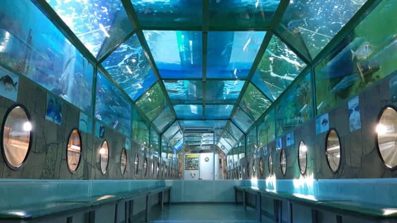 Морской аквариум «Батискаф»