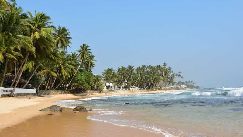 Шри-Ланка отдых осенью