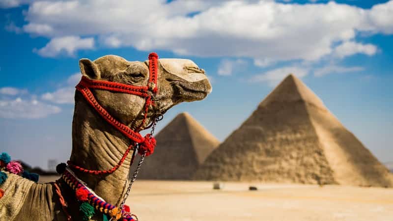 Выгодно ли покупать туры в Египет
