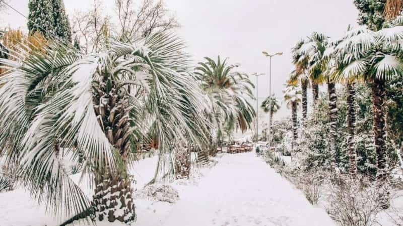 Снег в Сочи