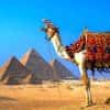 Как купить тур в Египет недорого в сентябре? Погода