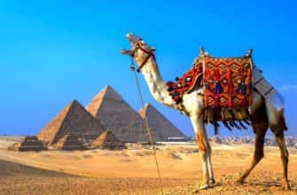 Как купить тур в Египет недорого в сентябре? Погода