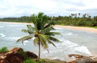 Отдых на Шри-Ланке в сентябре: погода, курорты, развлечения и рекомендации