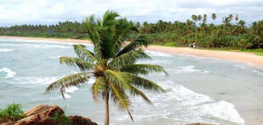 Отдых на Шри-Ланке в сентябре: погода, курорты, развлечения и рекомендации